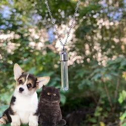 Colgante urna para cenizas de gato y perro acero inoxidable