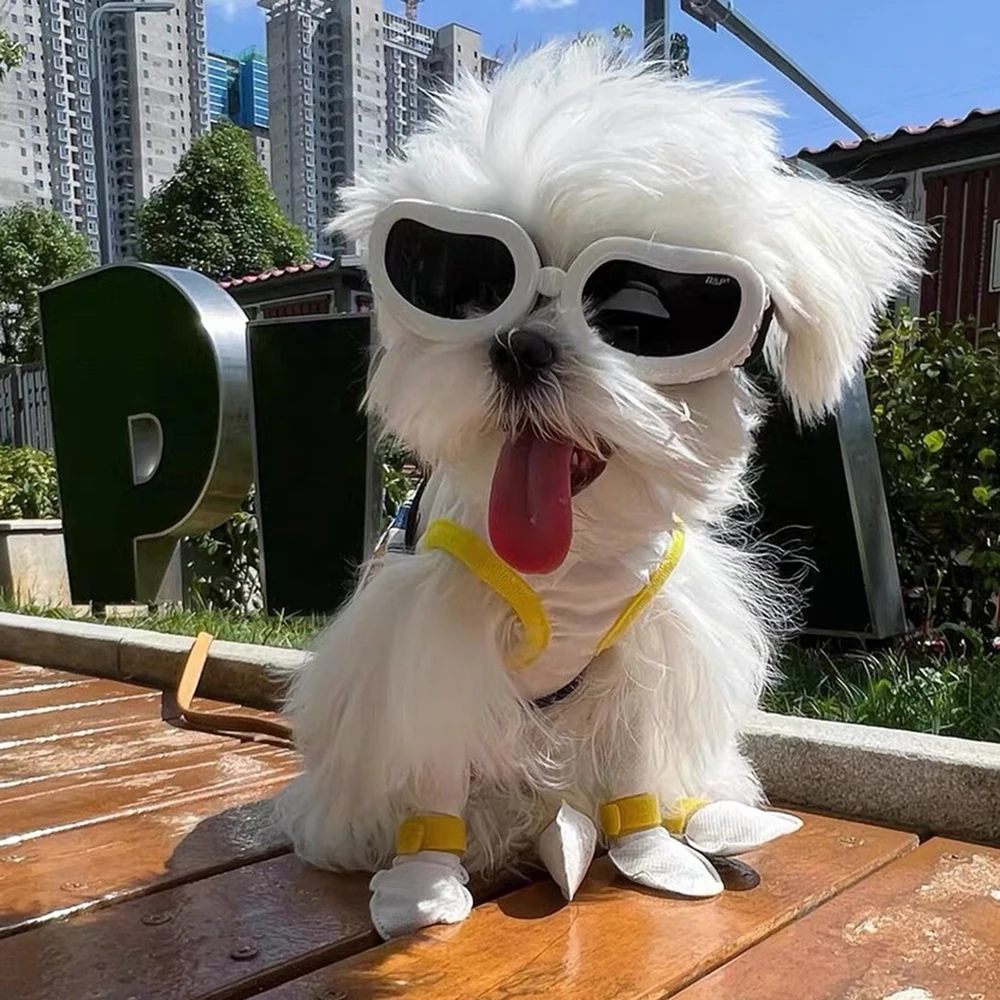 Gafas de Sol Plegables para Perros y Gatos - Accesorios para Mascotas - imagen 4