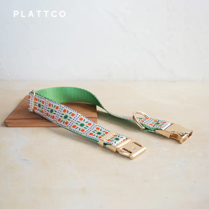 PLATTCO-collar de perro de diseño único, estampado de galletas de frutas, hebilla de aleación de zinc de color claro de alta calidad, 5 tamaños, PDC331G - imagen 4