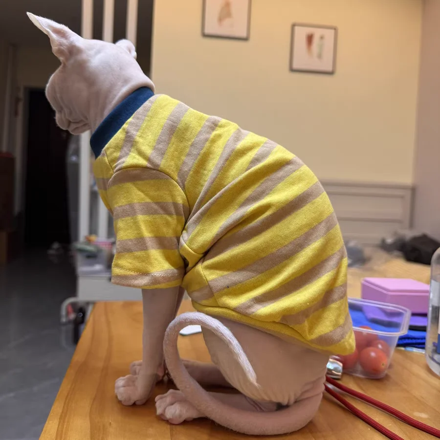 Ropa de gato, camiseta a rayas de algodón amarillo de primavera para gato Sphynx, abrigo suave verde y azul a la moda para gato abistán en otoño - imagen 2