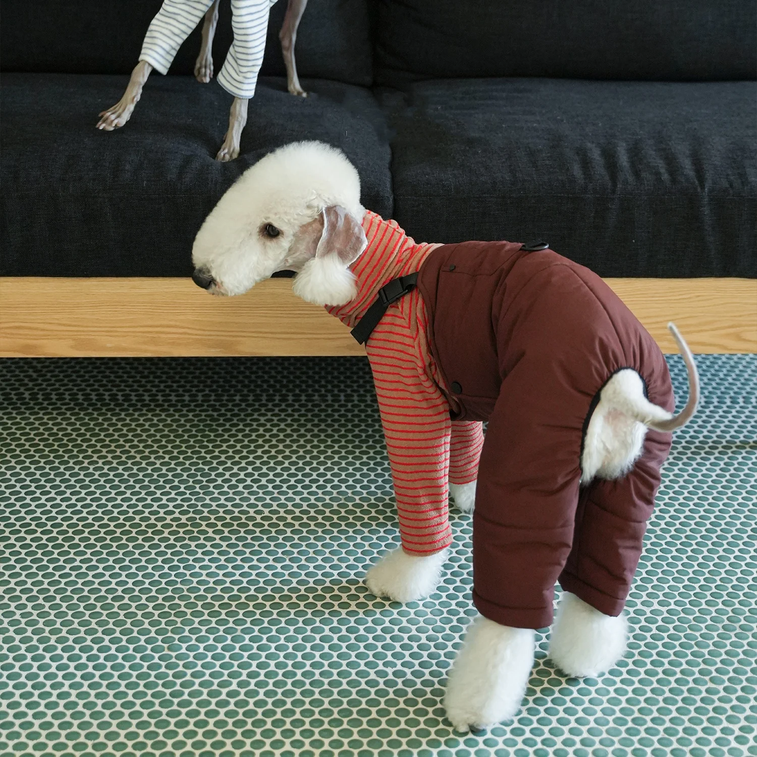 Mono cargo de algodón grueso y cálido para Bedlington Otoño Invierno Manga larga Camiseta de rayas rojas blancas Traje de pantalón suave para whippet Traje clásico de estilo británico para perros medios en clima frío