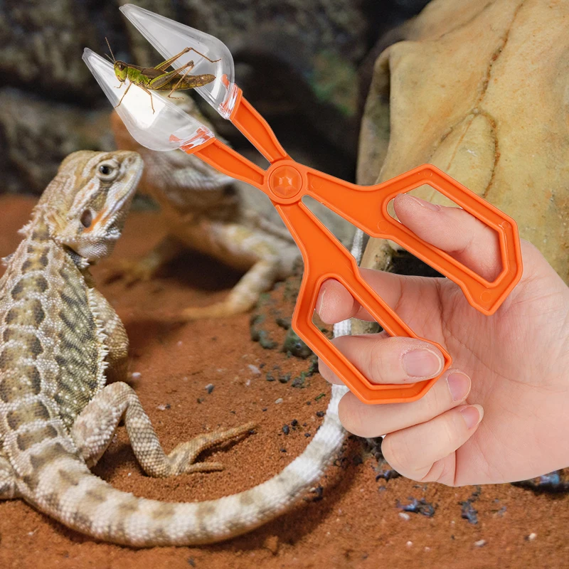 Herramienta de alimentación para criar mascotas, Clip para niños, trampa para insectos, tijeras prácticas para insectos, Clip para reptiles, terrario, lagartos, pinzas de plástico
