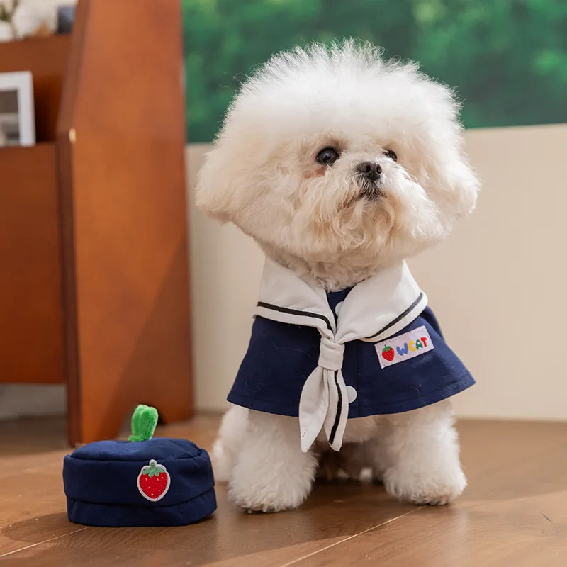 Capa marinero azul con gorro – disfraz para perro Bichón Pomerania