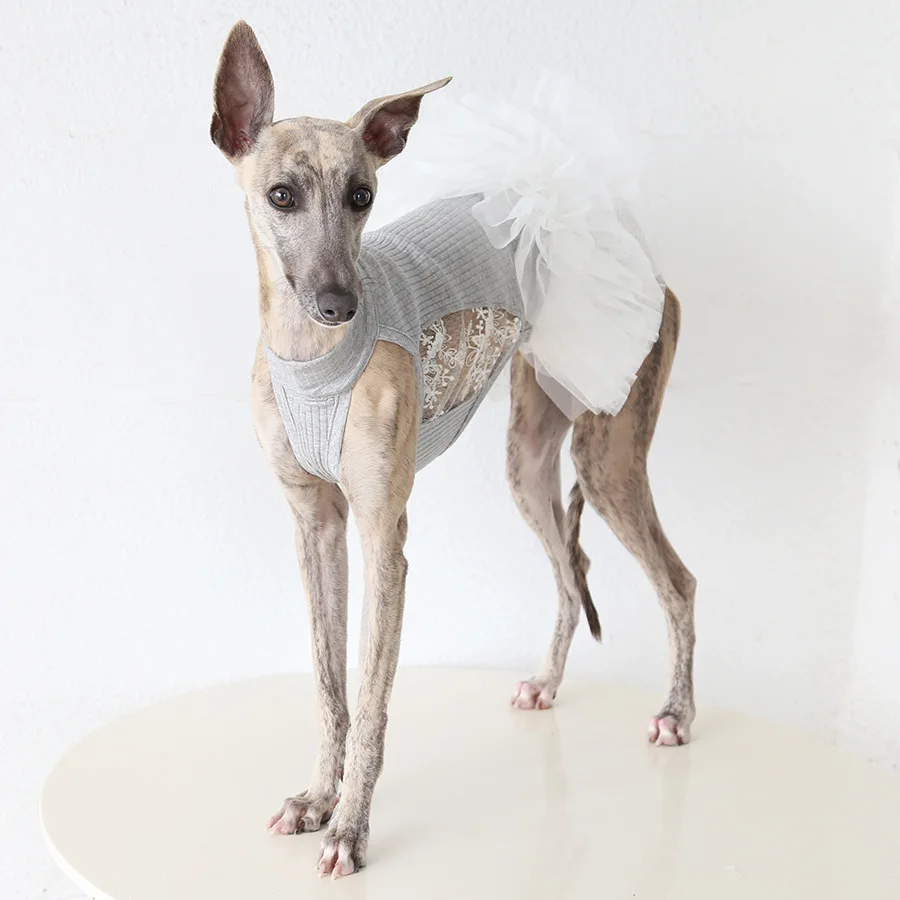 Vestido de tul con falda princesa para perros galgo italiano y whippet