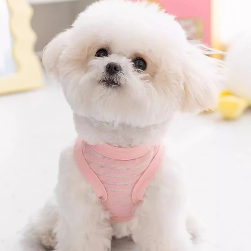 Chaleco de malla transpirable para perros, ropa de verano para perros, camiseta fina refrescante, disfraz de Chihuahua Bichon, ropa para gatos, camisa para cachorros para niñas, nueva - imagen 3