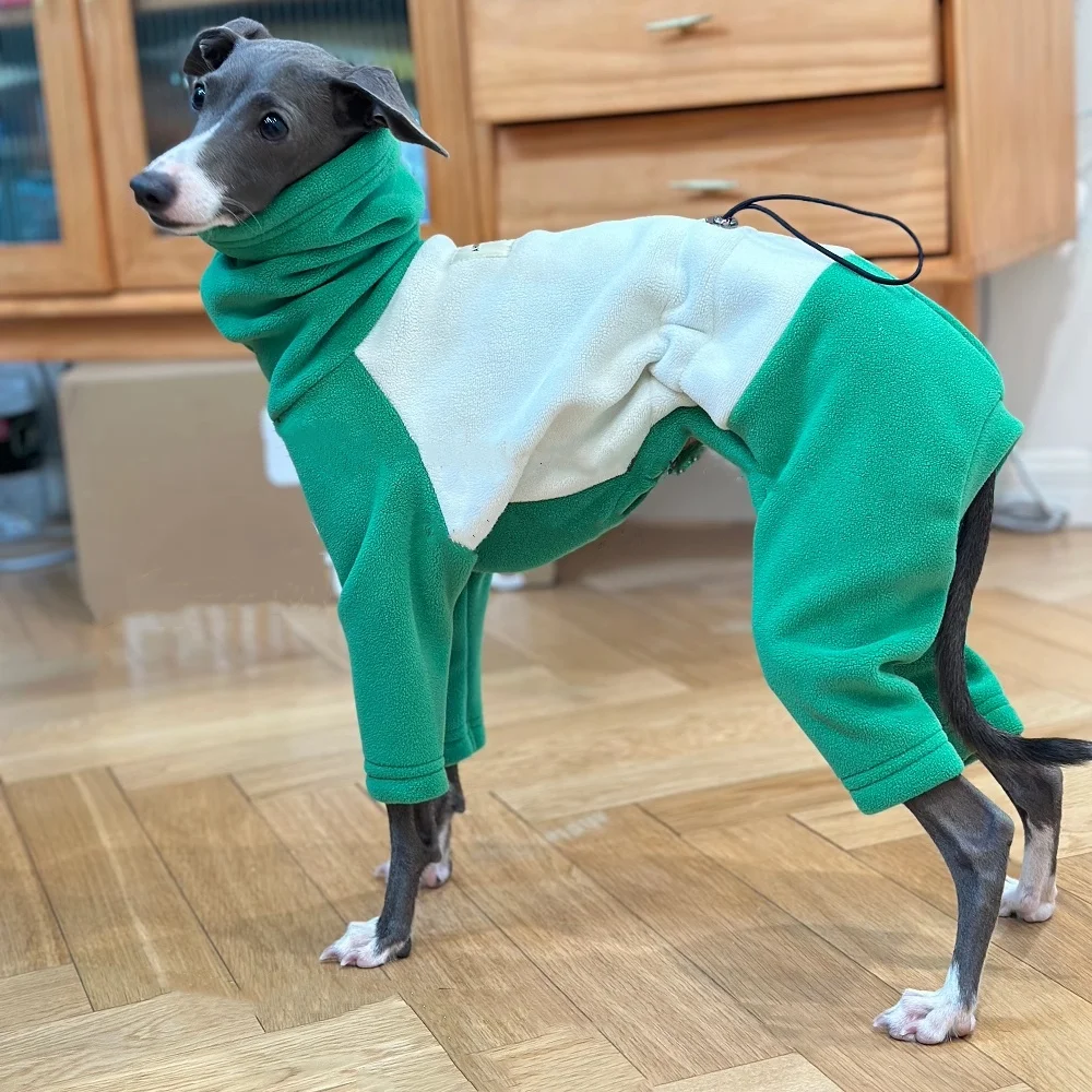 Italia galgo cálido verde 4 patas de cuello alto sudadera chaqueta de invierno abrigo para caniche Teddy otoño ropa de descanso suave para perros medianos - imagen 2