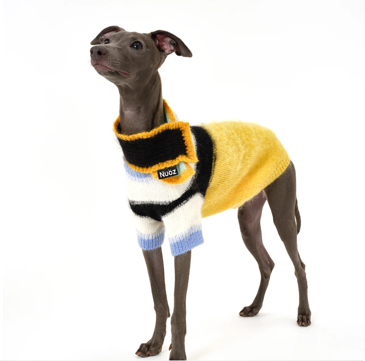 Suéter de galgo de Mohair de alta costura con bufanda, ropa de perro Bedlington de punto con mangas degradadas codificadas en Color de lujo - imagen 2