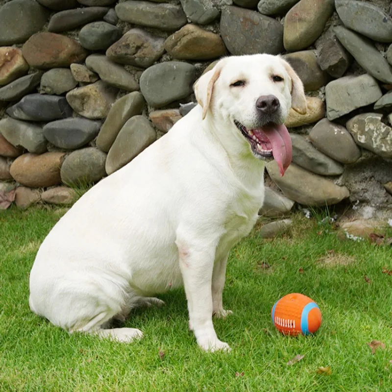 Bola de látex para saltar, juguetes para perros, juguete para moler dientes resistente al masticable, suministros interactivos para juegos de interior para cachorros, productos de entrenamiento para lanzar mascotas