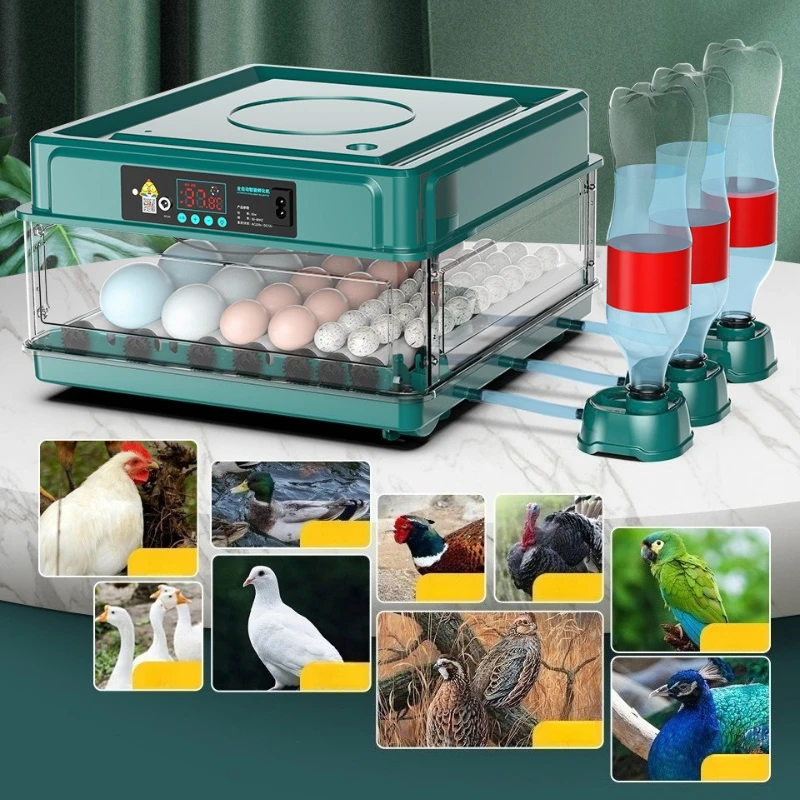 Incubadora automática para huevos de gallina y codorniz – 50 huevos - imagen 4