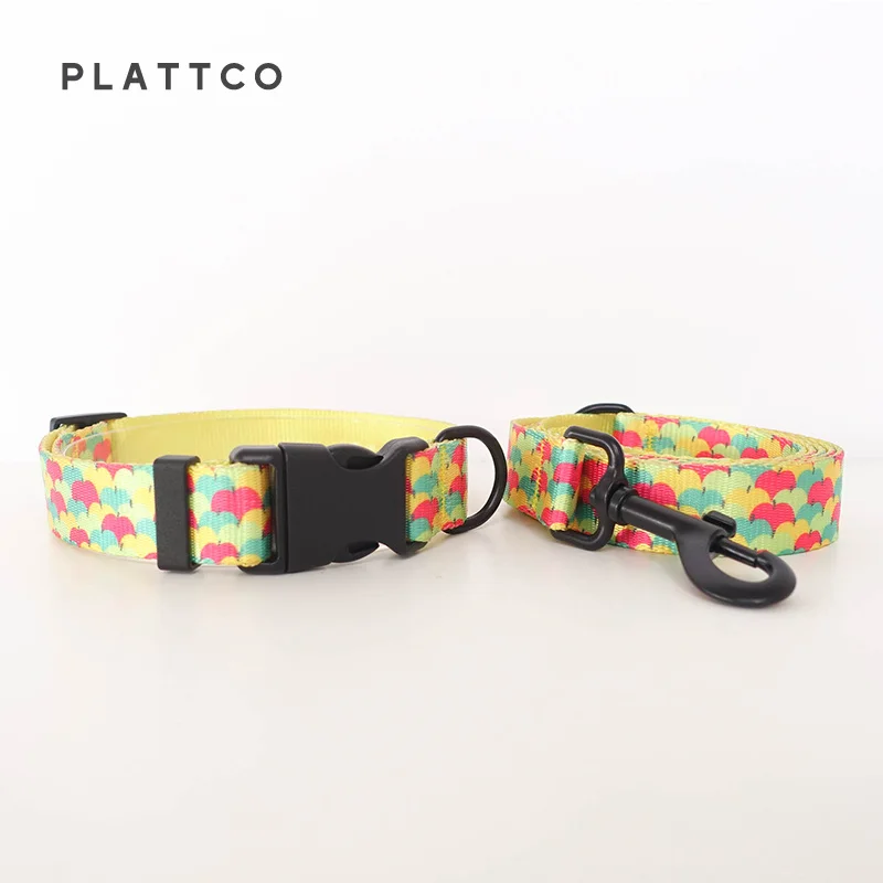 Dog Collar Leash Set
