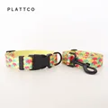 Dog Collar Leash Set