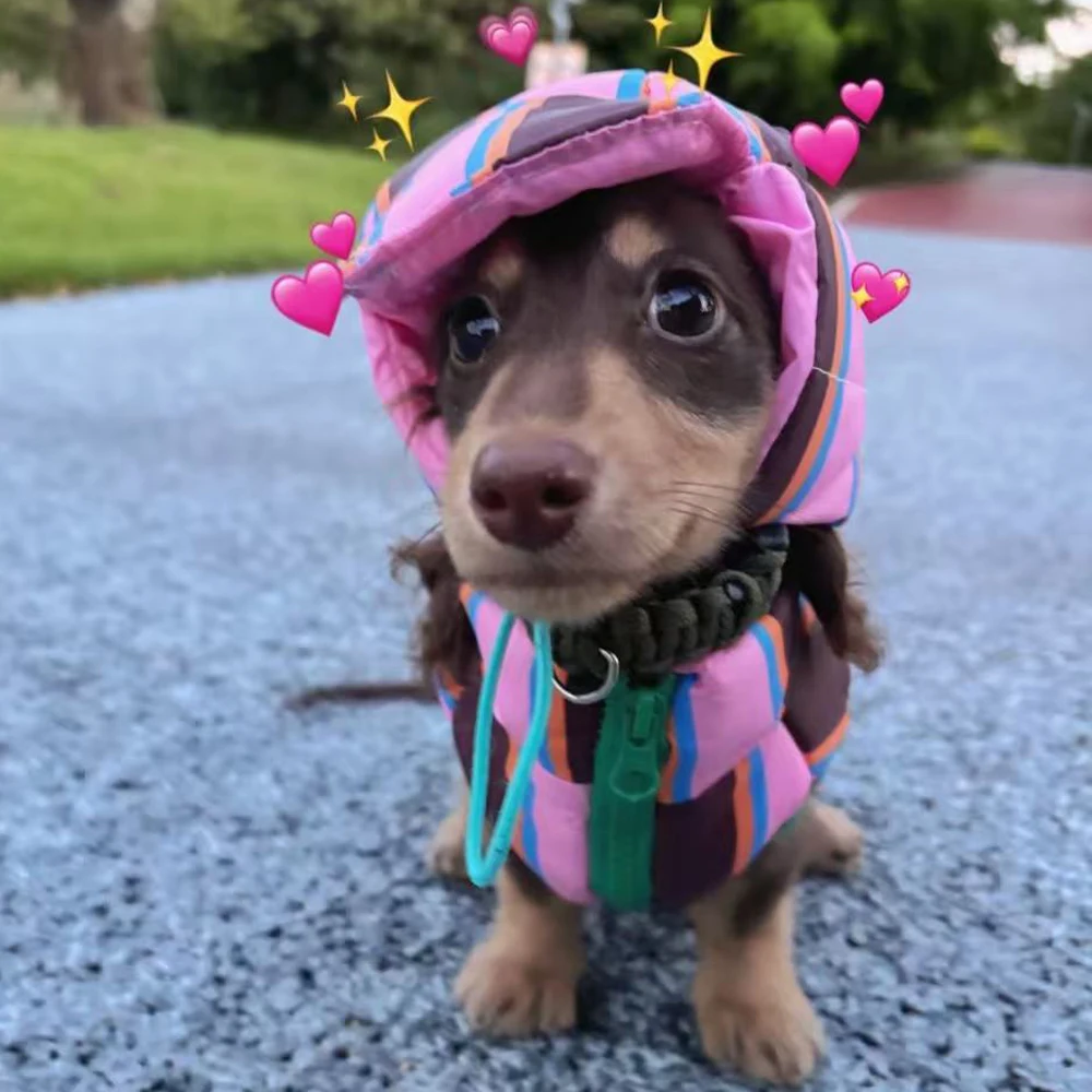 Chaqueta para perros salchicha con sombrero - abrigo calido ligero