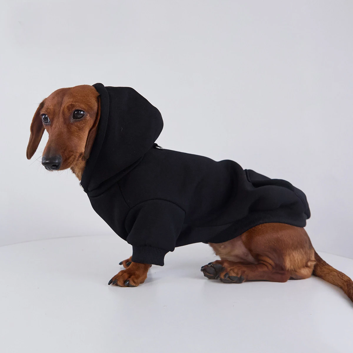 Chaqueta forro polar con capucha perros Dachshund, pequeños y medianos - imagen 3