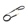 black leash
