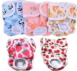 Pañales lavables para perras - cómodos, seguros y reutilizables