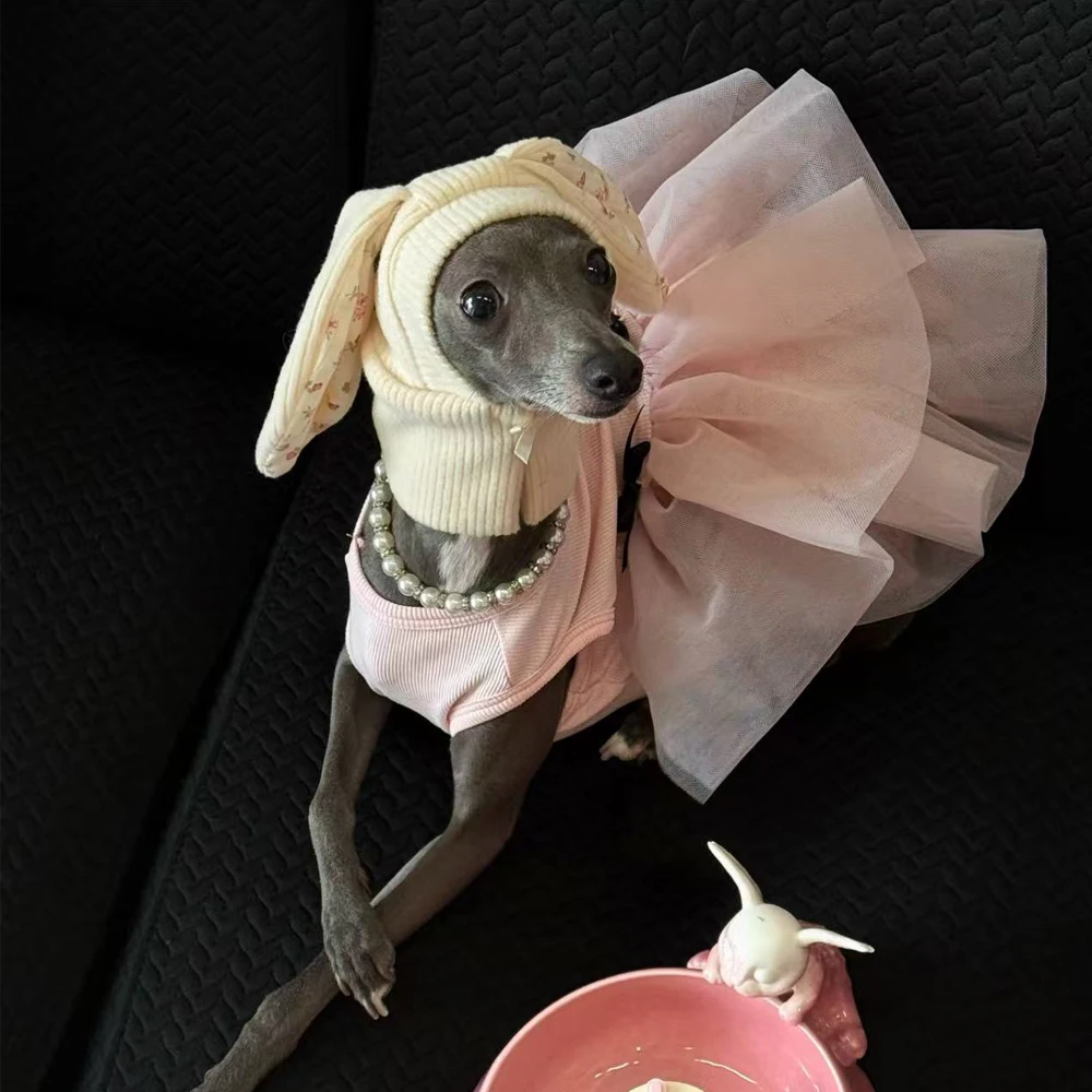Vestido de encaje rosa para Galgo Italiano y Whippet – Primavera - imagen 4