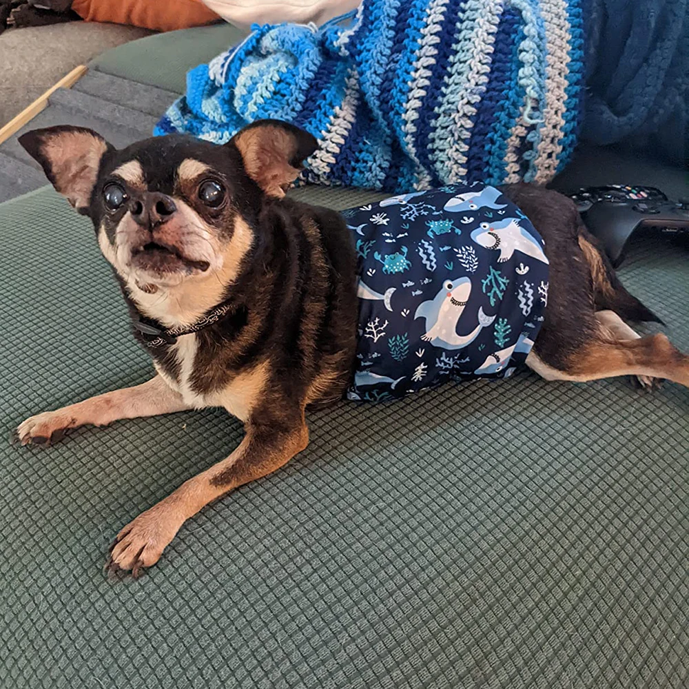 Pañal reutilizable para perros pequeños y medianos, cinturón Abdominal para mascotas de alta absorción, bragas lavables para cachorros, Chihuahua, Pug, mascotas - imagen 3