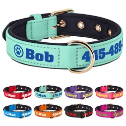 Collar de cuero acolchado para perros medianos y grandes con nombre