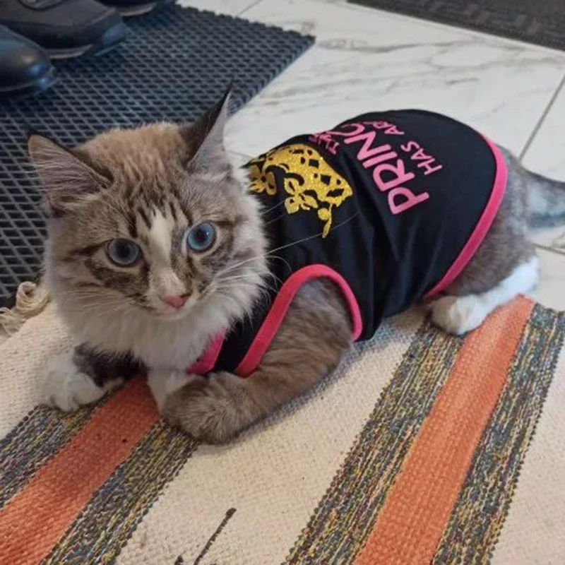 Camiseta de algodón Sphynx para gatos pequeños, chaleco con estampado de princesa Gotas, ropa para perros, camisas Garfield Kedi, ropa para mascotas, verano - imagen 3
