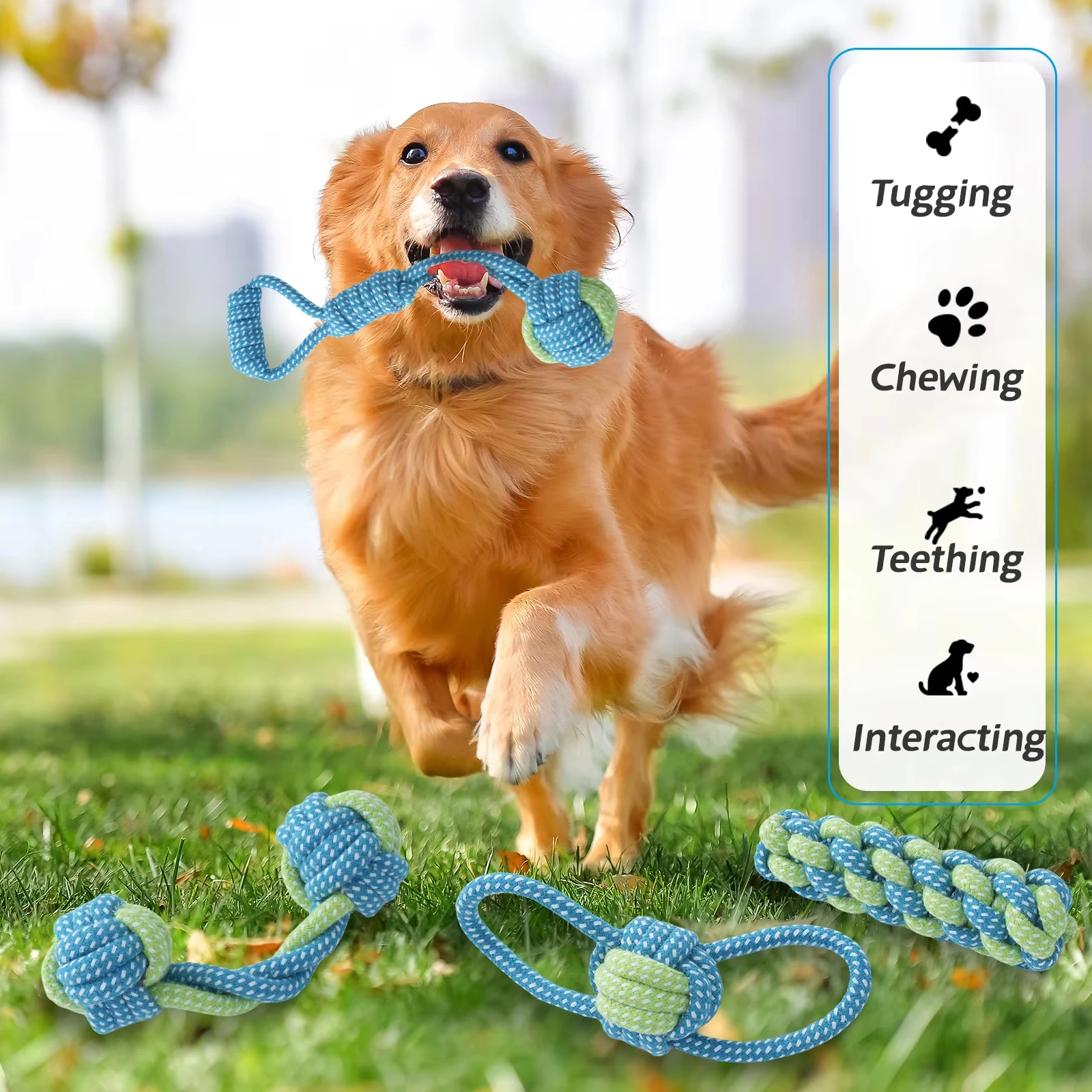 Juguetes interactivos de cuerda de algodón para perros, juguete resistente a mordeduras para cachorros y perros, pelota para masticar, juguete para perros pequeños y grandes, limpieza de dientes, suministros para mascotas - imagen 2