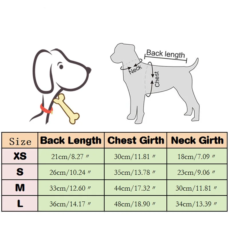 Perro con abrigo acolchado visto desde arriba