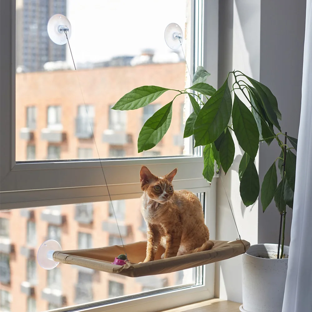 Hamaca con ventana para gatos, perca, cama plegable montada en la pared con 4 ventosas fuertes, tela suave y lavable para dormir y tomar el sol - imagen 2