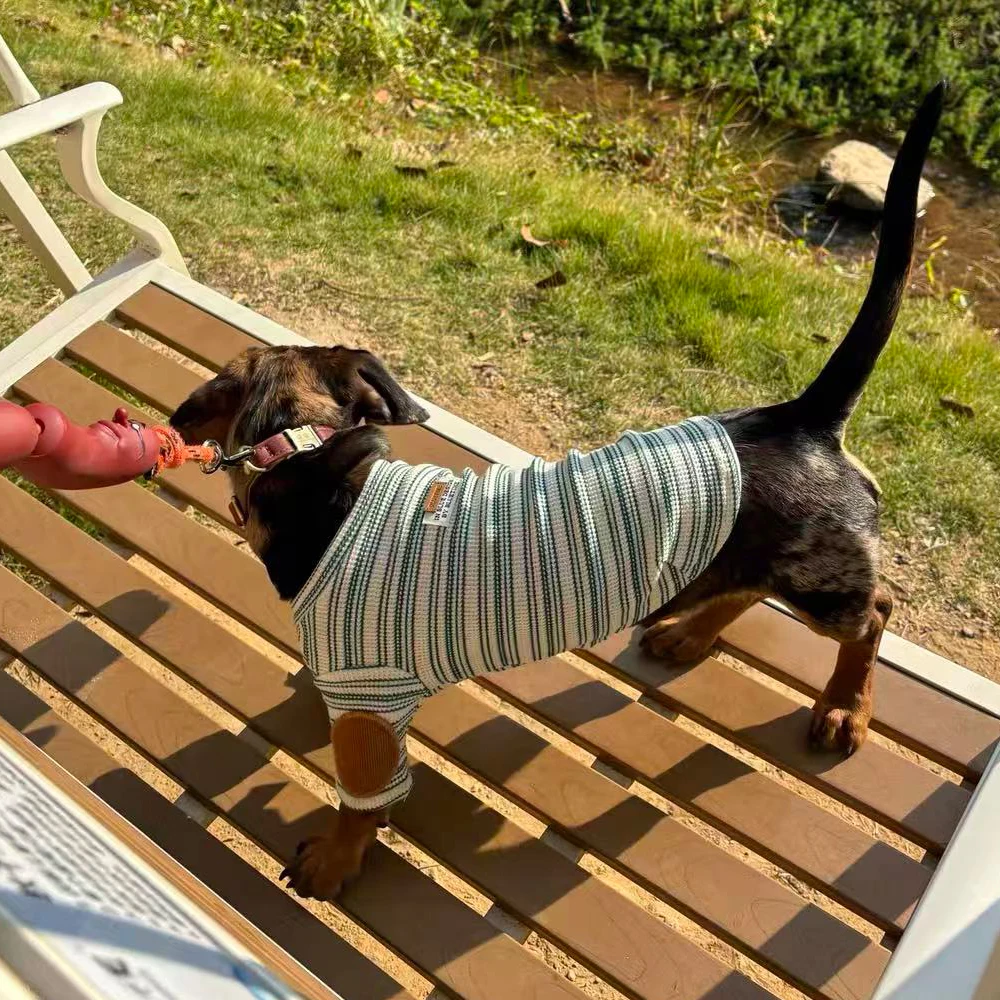 Pijama a rayas suave para perro Dachshund – Camiseta ligera de verano - imagen 2