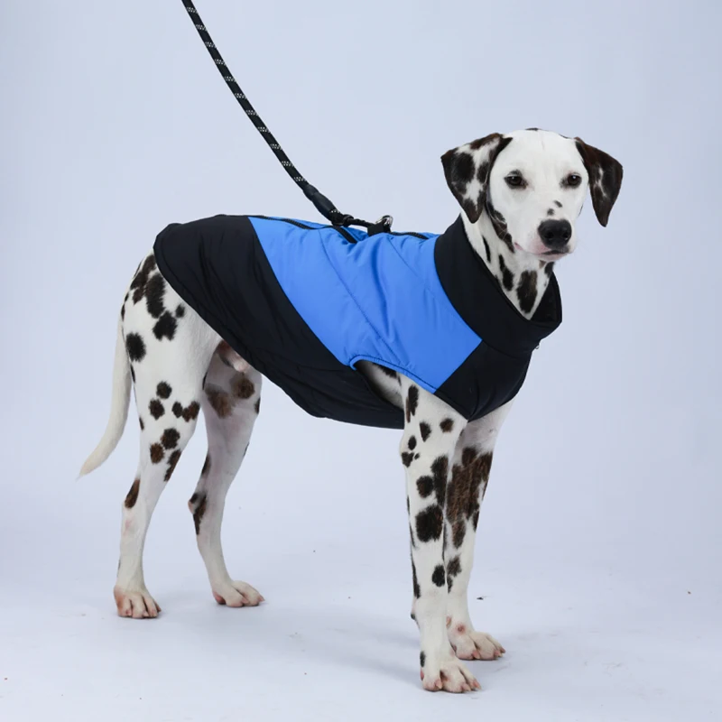 Ropa barata para perros grandes, abrigo de invierno para mascotas, chaqueta para perros medianos y grandes, Dálmatas, Labrador, ropa para mascotas - imagen 5