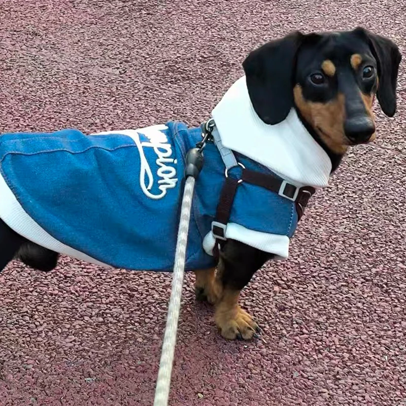 Chaqueta vaquera con capucha para Dachshund – Abrigo ligero - imagen 5