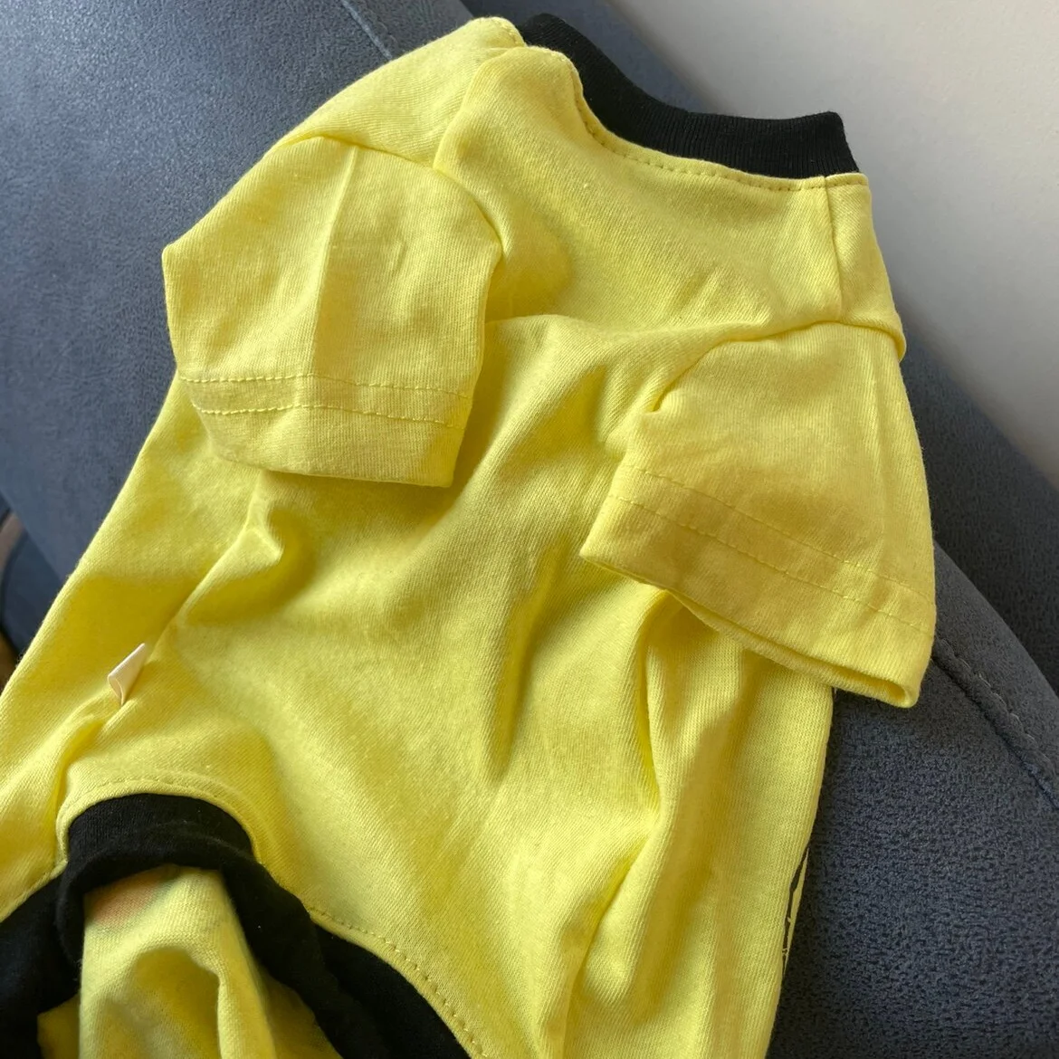Camiseta de algodón, pijama amarillo para gatos Sphynx y Devon Rex - imagen 5