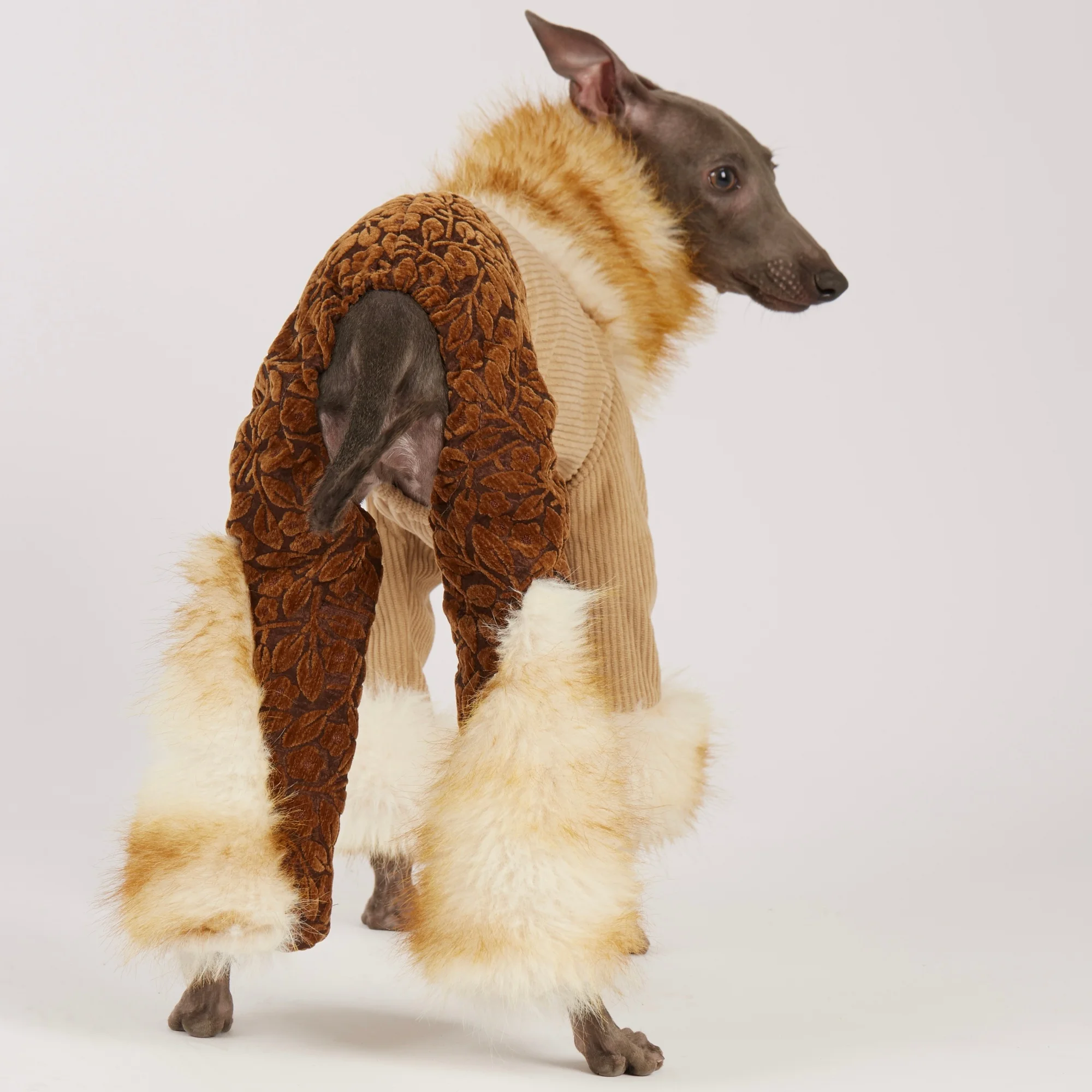 Ropa invierno galgo italiano y whippet: sudadera, pantalón, abrigo - imagen 4