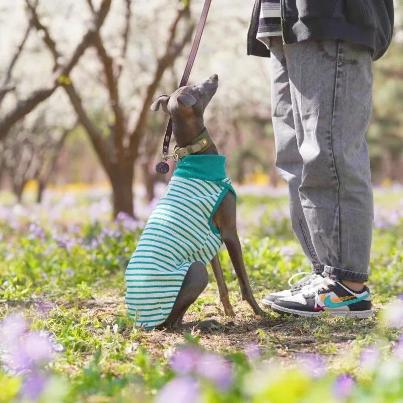 Ropa de algodón para perros, ropa bonita para perros, cachorros, gatos, ropa para perros pequeños y grandes, chaleco, accesorios para mascotas, suministros de productos de ropa - imagen 4