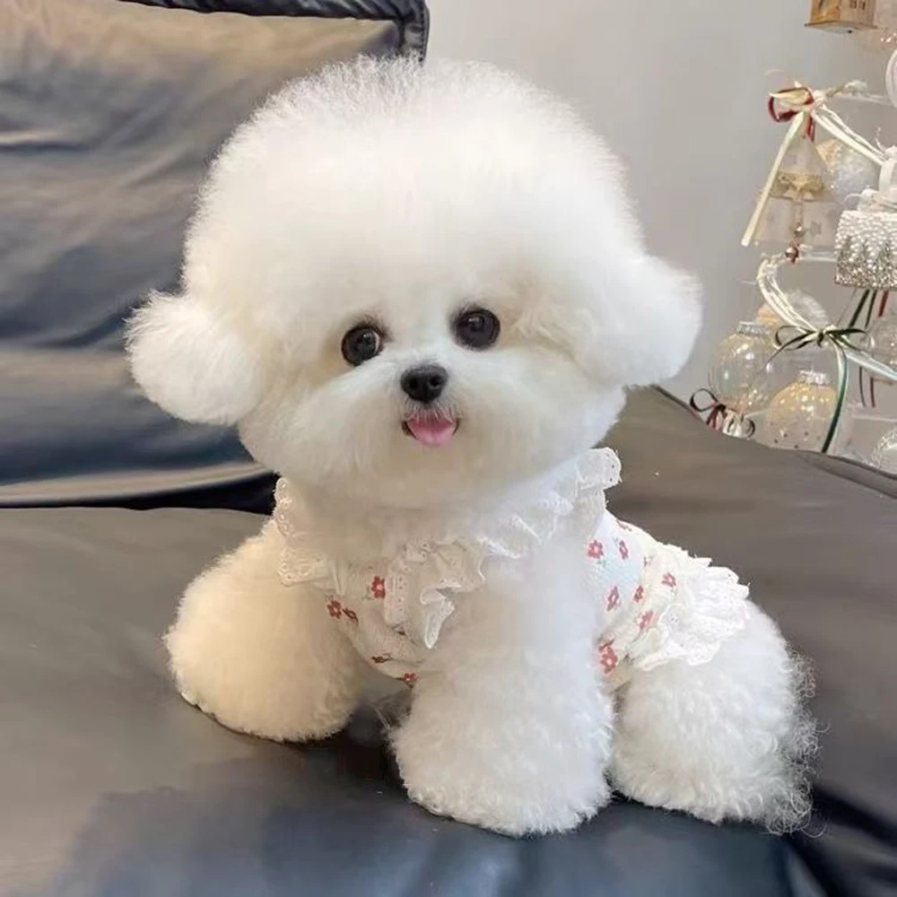 Chaleco con lazo para perros Bichón – Vestido floral para gatos - imagen 4