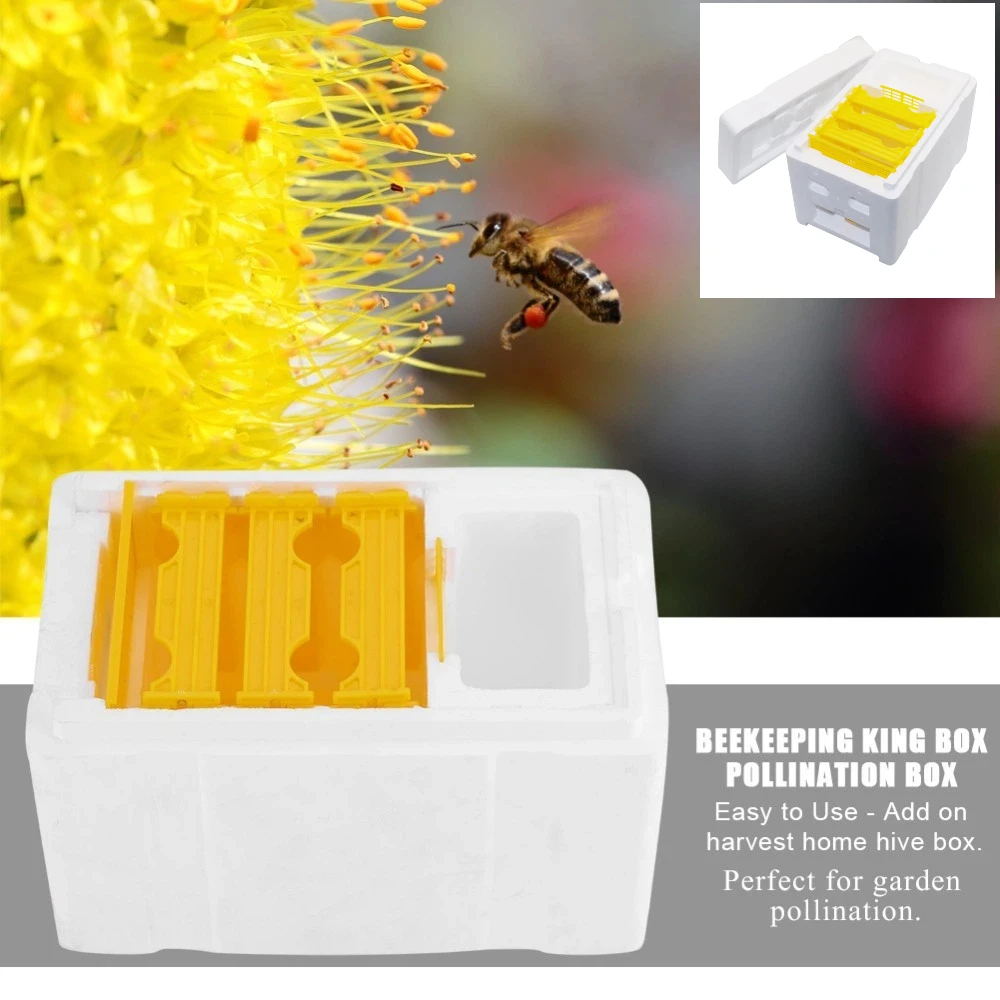 Caja de polinización de espuma para cría de abejas reina, colmena, herramienta de apicultura, caja de espuma para cría de abejas, Kit de equipo de apicultura, 1 Juego