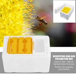 Caja de polinización de espuma para cría de abejas reina, colmena, herramienta de apicultura, caja de espuma para cría de abejas, Kit de equipo de apicultura, 1 Juego