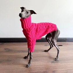Suéter de lana para perros - Cuello alto rosa, Abrigo térmico
