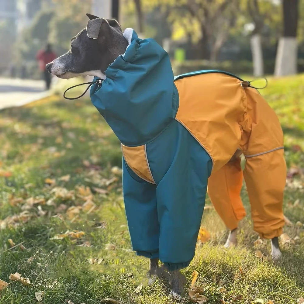 Ropa de moda para perros galgo italiano, sudadera cálida de 4 patas con cuello alto para perros, chaqueta de invierno, abrigo, ropa de descanso suave para Bellington - imagen 2
