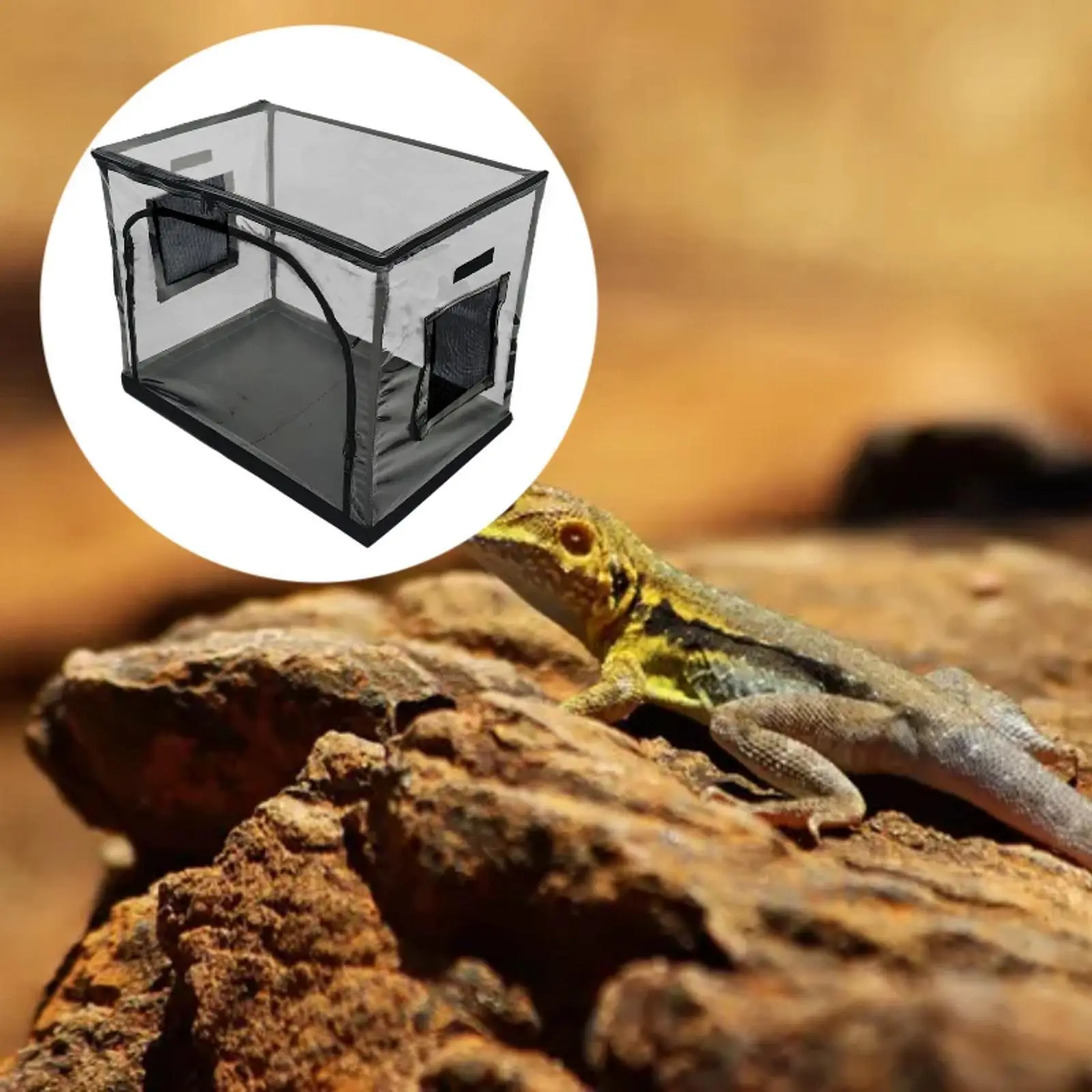 Reptile Feeding Box Easy to Observe Habitat Cage for Garden Farm Hermit Crab