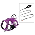 PURPLE SET