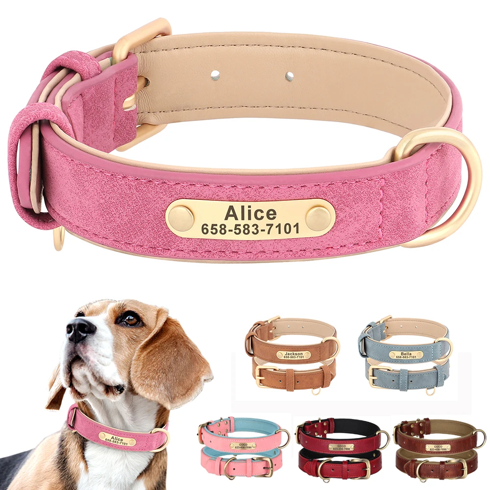 Collar de cuero con placa grabada para perro – Nombre personalizado
