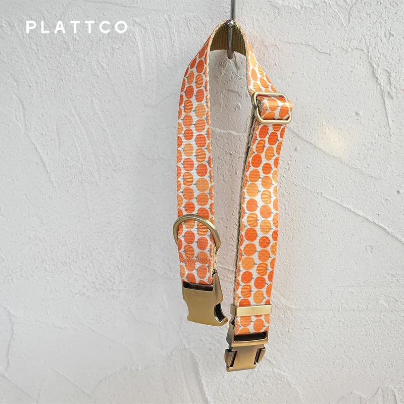 PLATTCO conjunto de perro de diseño único estampado Harvest Pumpkin con hebilla de bronce de alta calidad tamaño 5 PDC367Br y PDL367Br - imagen 3