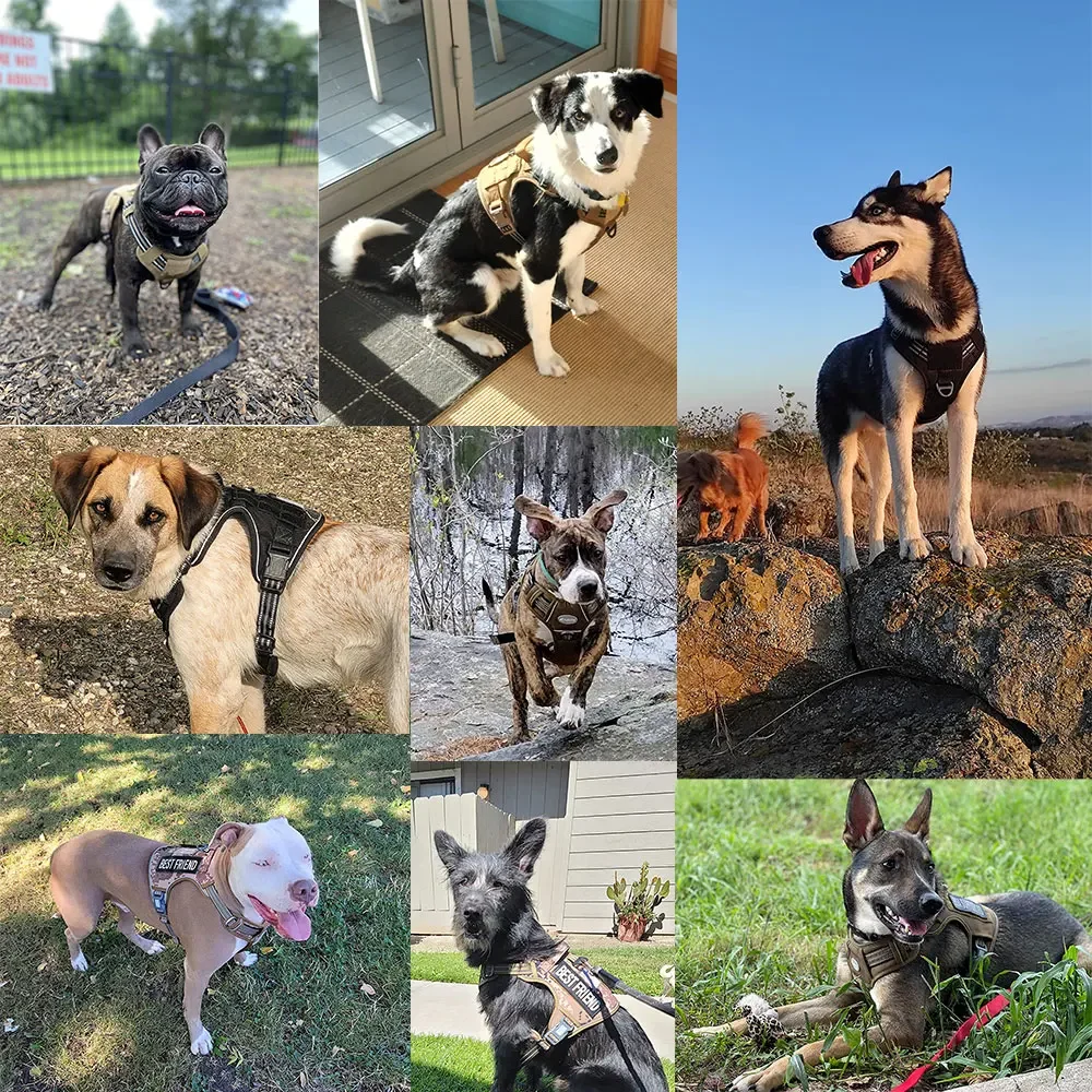 Arnés táctico reflectante para perros grandes y pequeños, chaleco de entrenamiento, correa, arnés y correa para mascotas, conjunto para perros, acolchado ajustable para exteriores