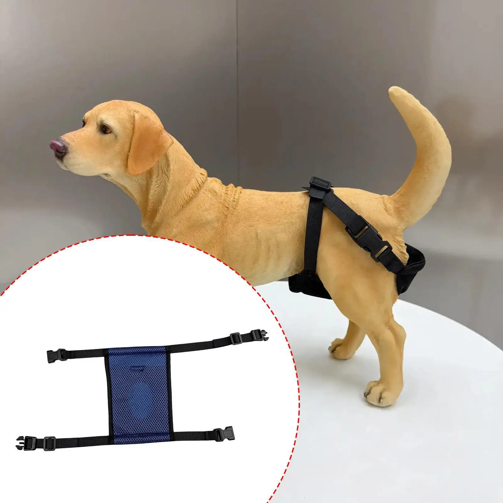 Pet Female Dog Diaper Dog Menstrual Period Pants,Sturdy,Pet Supplies Doggy Diaper Comfortable Breathable Reusable Underwear