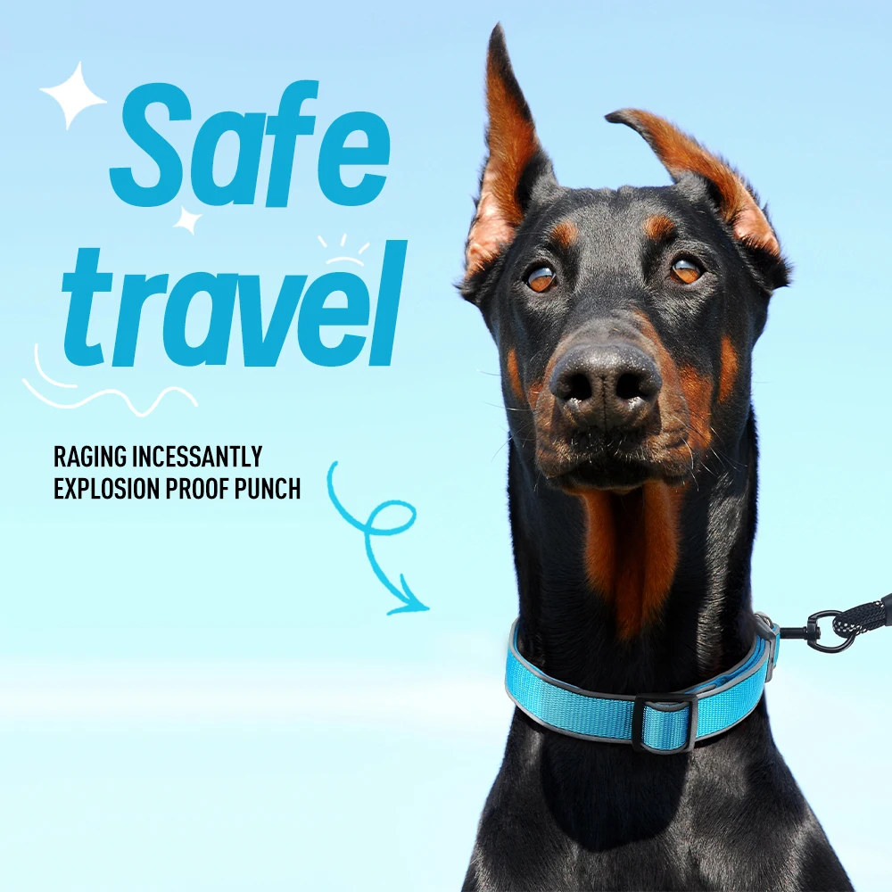 Collares duraderos y resistentes para cachorros y perros grandes, conjunto de Collar y correa reflectantes para perros medianos y grandes, accesorios para mascotas Doberman - imagen 4