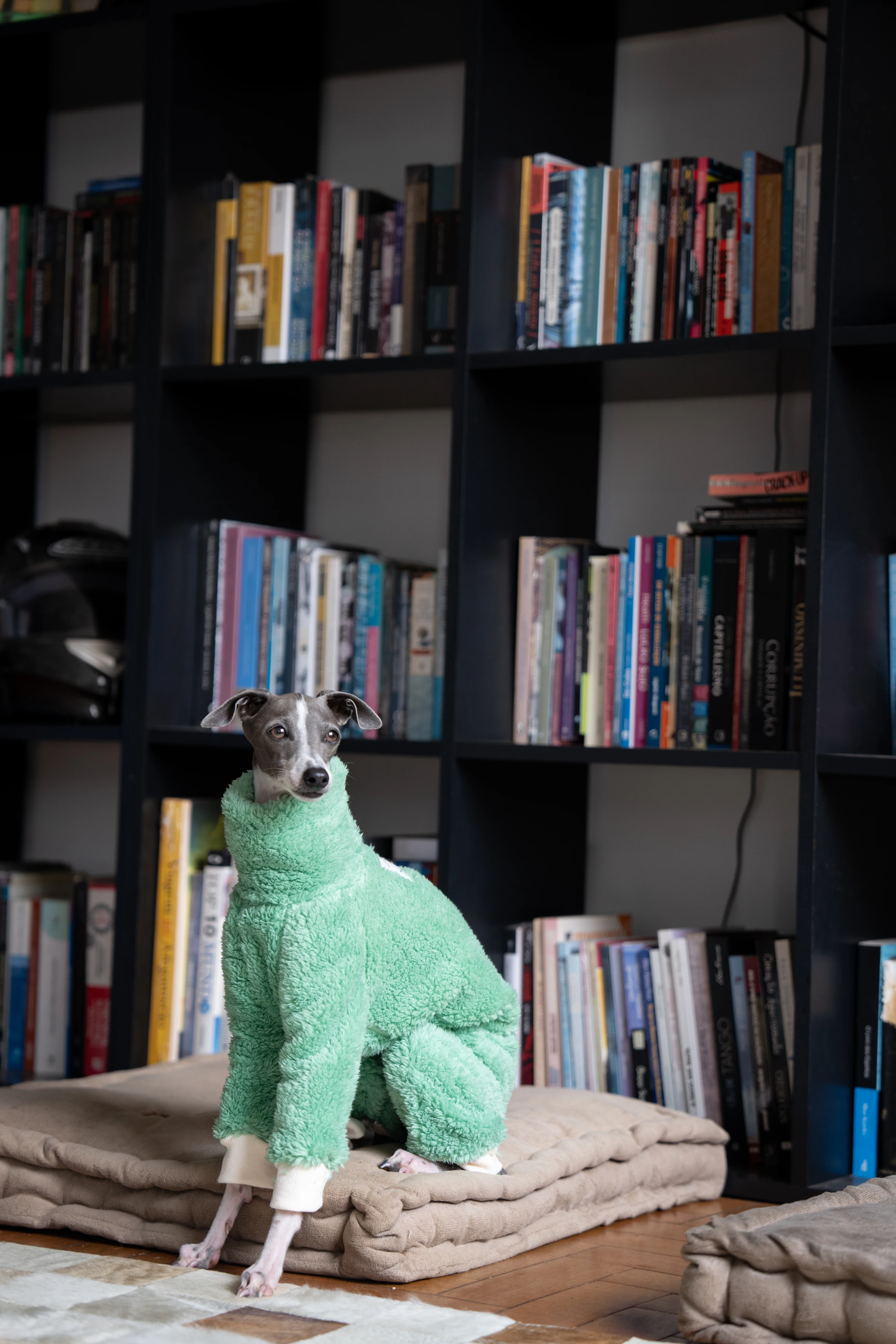 Ropa de galgo italiano de Navidad verde, ropa suave y cálida para cachorros de invierno, abrigo Whippet - imagen 3