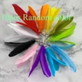 10pcs Random color