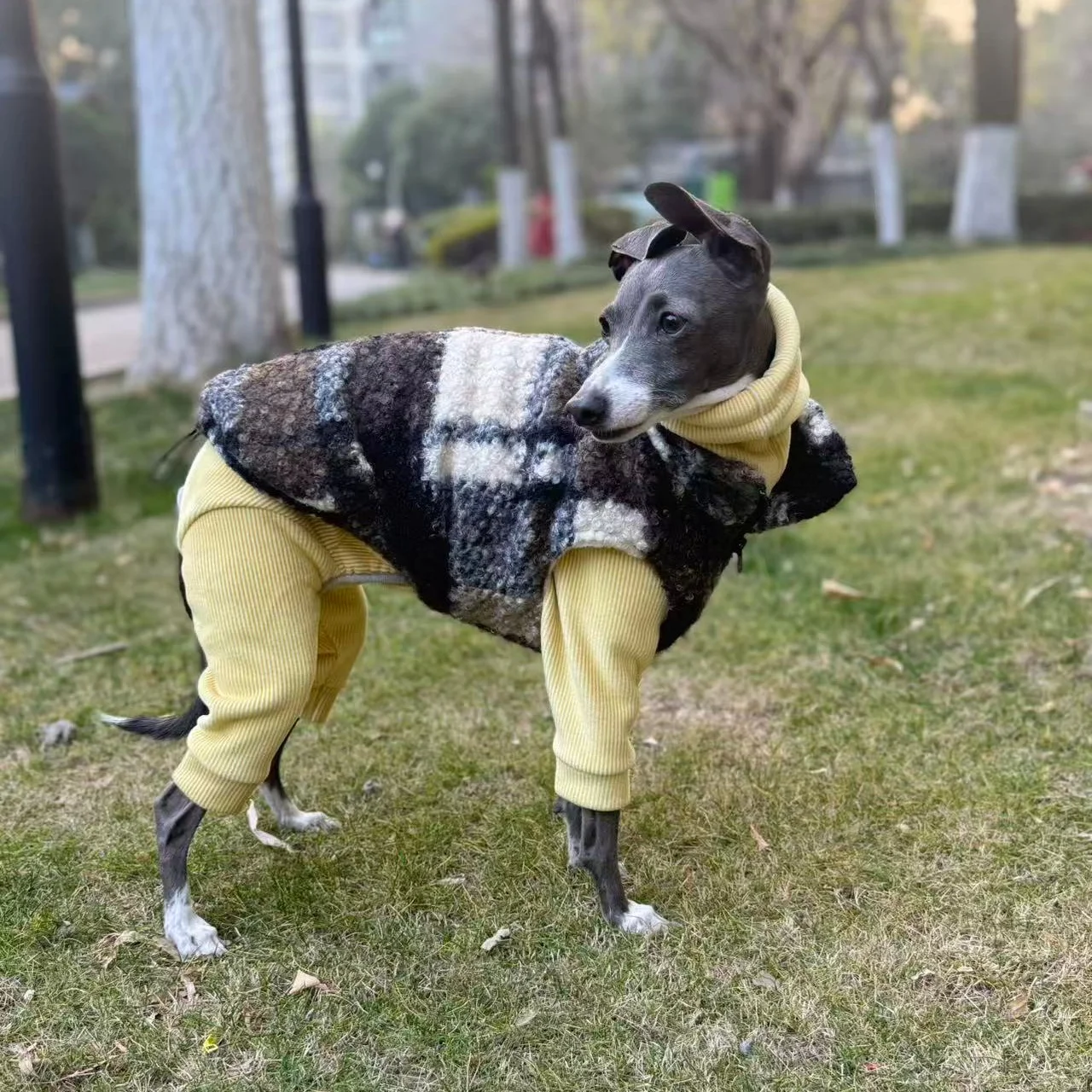 Abrigo forro polar para perro galgo italiano y whippet - imagen 3