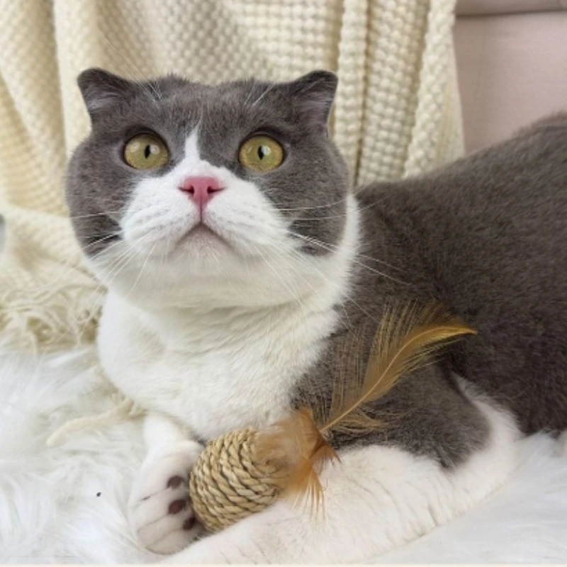 2 uds juguetes para gatos con plumas y campana, juego de anillos y bolas de ratán tejidas a mano para gatito, juego interactivo con sonido para autocalmante - imagen 2