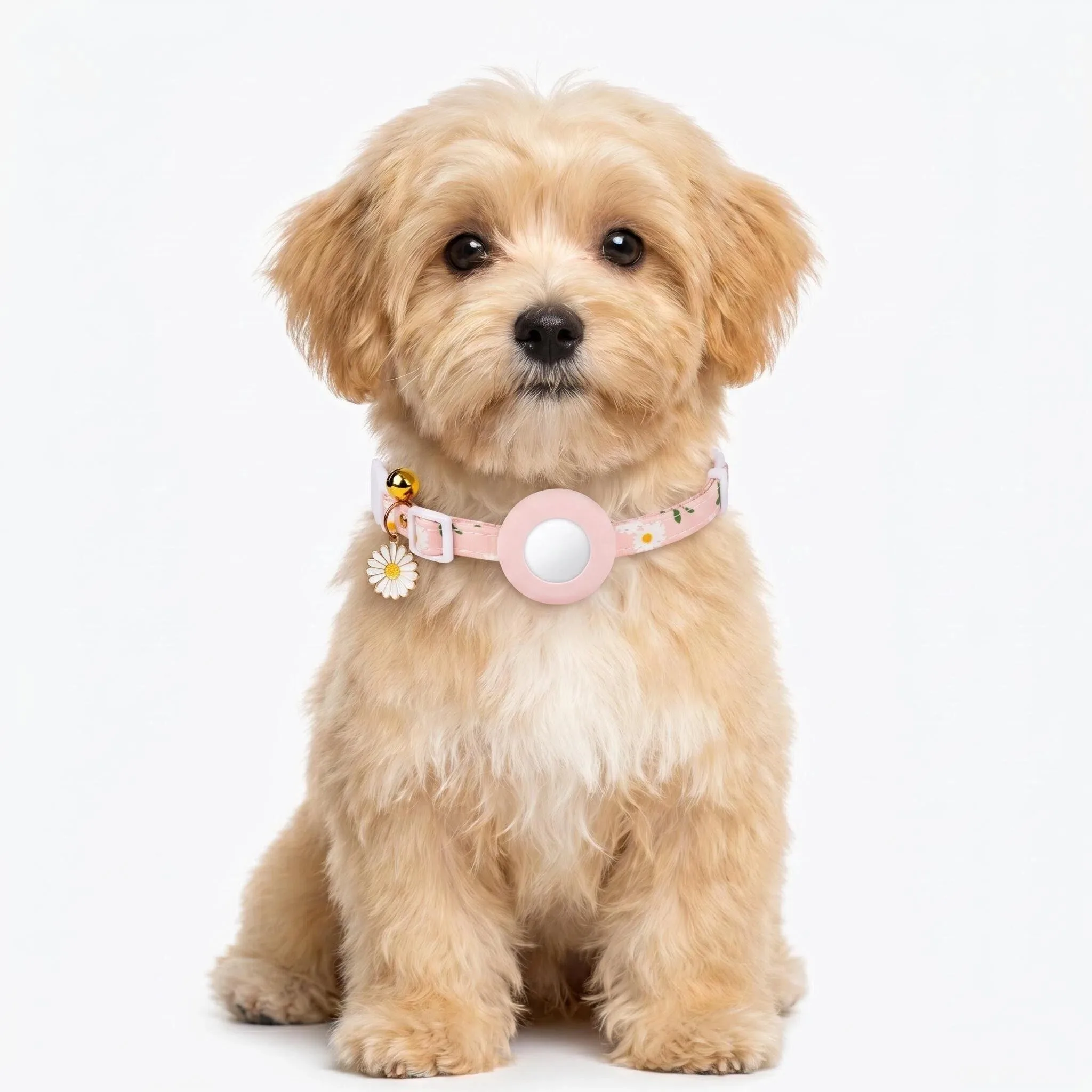 Collar localizador para gato con AirTag ajustable y campana - imagen 5