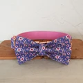 Dog Collar Bow Tie